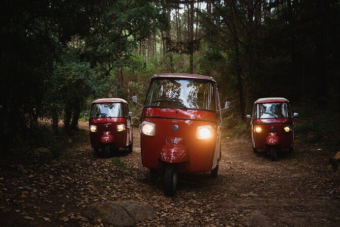 1-Hour Guided Tuk-Tuk Tour in Sintra - Stop 2: Sintra National Palace—Panoramic Photo Time