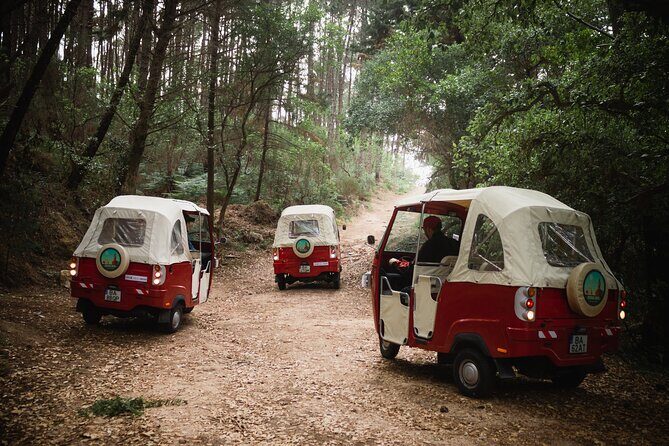 1-Hour Guided Tuk-Tuk Tour in Sintra - Stop 4: Park of Pena Duck Houses and Epic View Moments