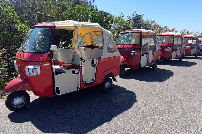 1-Hour Guided Tuk-Tuk Tour in Sintra - Stop 6: Pena Palace Park and the Royal Dream Effect