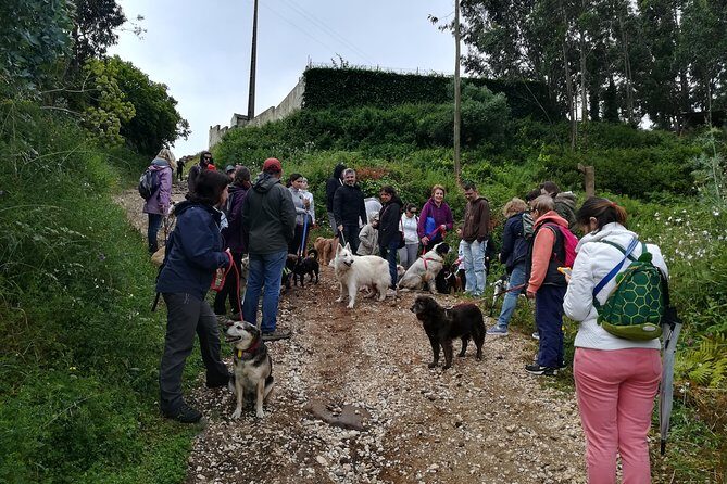 Discover Sintra's Hidden Trails: A Unique Hiking Experience - What 3–4 hours of hiking really means (moderate, not extreme)