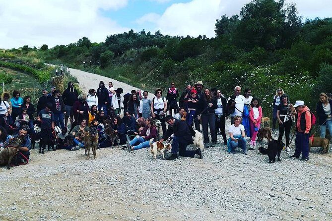 Discover Sintra's Hidden Trails: A Unique Hiking Experience - The guide factor: Rob’s professional, considerate style
