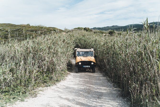 Epic Off-Road Adrenaline in Sintra - The 9:30 start: setting the tone in UNESCO Sintra