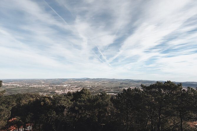 Epic Off-Road Adrenaline in Sintra - Lunch and the local food rhythm (with a cash heads-up)