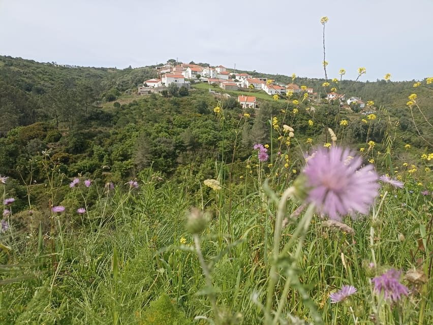 From Sintra, Mafra, or Ericeira: Hike and Wine Tour - Key moments worth penciling in