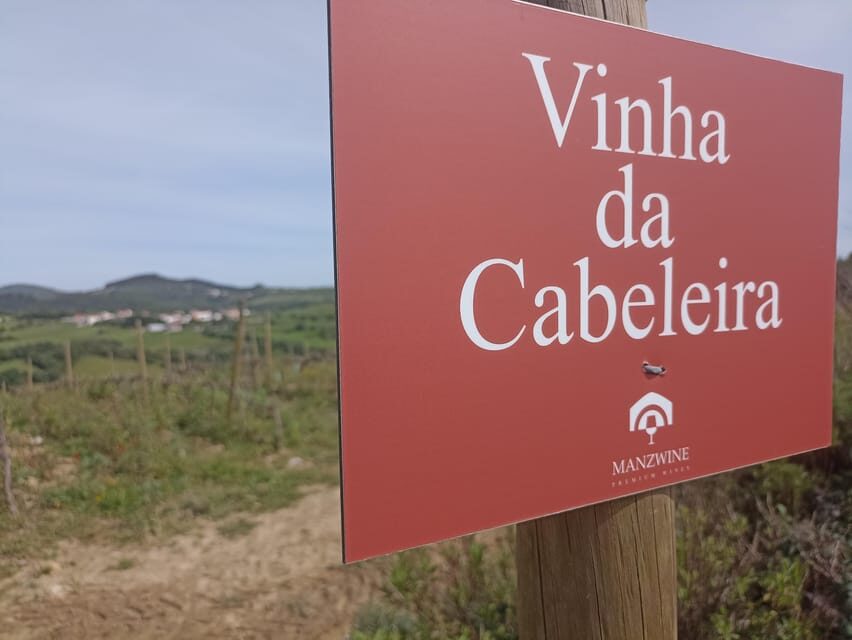 From Sintra, Mafra, or Ericeira: Hike and Wine Tour - Cheleiros: the historic wine village moment before the wine starts