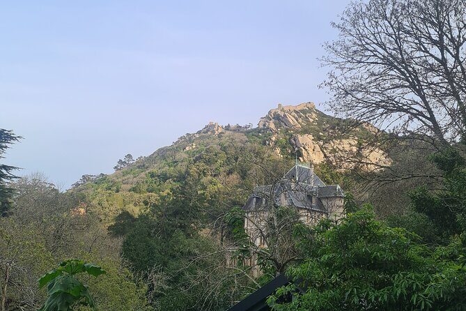 Full day exploring Sintra, Azenhas do Mar and Cabo da Roca - Miradouro da Vigia: A View That Sets Up Everything Else