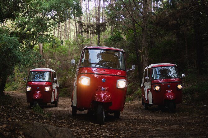 Full-Day Guided Tuk-Tuk Tour in Sintra - Moorish Castle and the Pena complex: the big-view portion