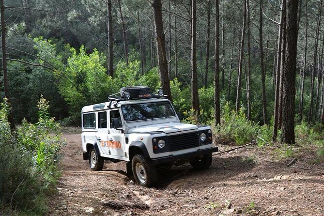 Full-Day Sintra Jeep Safari - Morning Setup: 9:00 Start, Small Groups, and Real Off-Road Time