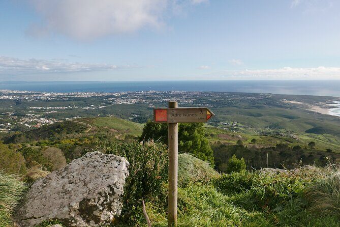 Half day adventures in the Sintra mountain - Stop 5: Quinta da Regaleira and the Initiatory Well
