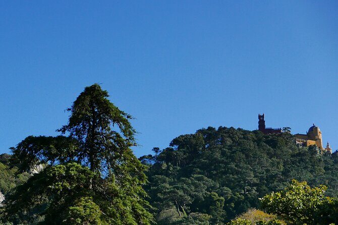 Half day adventures in the Sintra mountain - Stop 6: Monserrate Gardens for a Calmer Ending