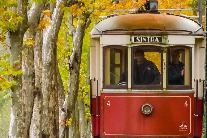 Half-Day Tuk Tuk Sintra Private Tour - Sintra National Palace and the Historic Center: A Strategic 45 Minutes