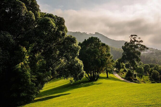 Park and Palace of Monserrate - Key highlights at Monserrate in Sintra