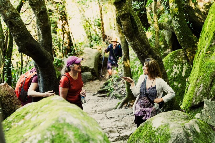 Pena Palace, Moorish Castle,Quinta ad Regaleira:Walking tour - Price and Tickets: Does $80 Actually Pay Off?