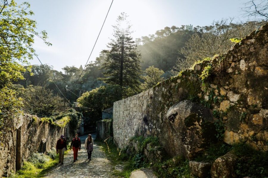 Pena Palace, Moorish Castle,Quinta ad Regaleira:Walking tour - Sintra’s Three Icons in One Big Walking Day