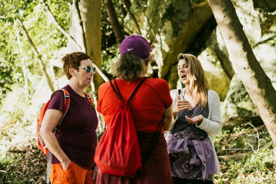 Pena Palace, Moorish Castle,Quinta ad Regaleira:Walking tour - Starting in Sintra’s Historic Center: A Smart Orientation