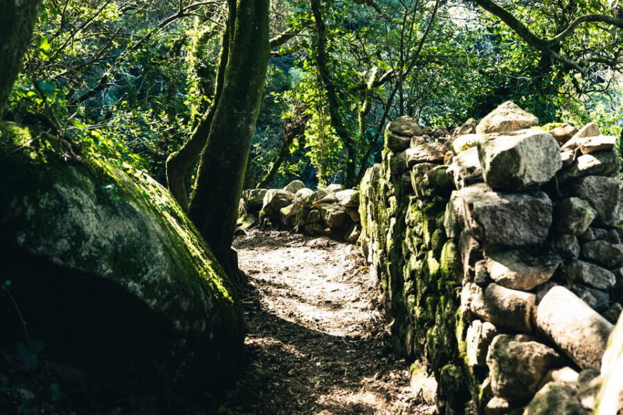 Pena Palace, Moorish Castle,Quinta ad Regaleira:Walking tour - The Moorish Castle Hike: Where the Climbing Becomes Part of the Story