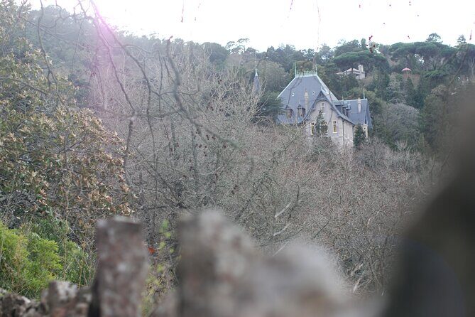 Private 1 hour and half Sintra Guided Tour - Stop 5: Pena Palace, a romantic mix of styles