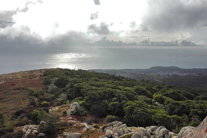 Private Evening Walk Inside the Forest: "Sintra Mountains Inbetween Wolves" - Price and what $137.57 buys you (and what it doesn’t)