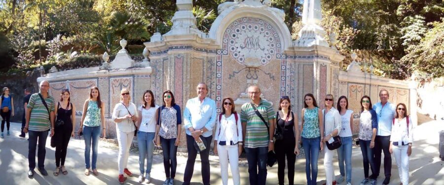 Private Half Day tour Sintra Pena Palace & Initiantion Well - Why Sintra feels like a movie set before you reach the gates