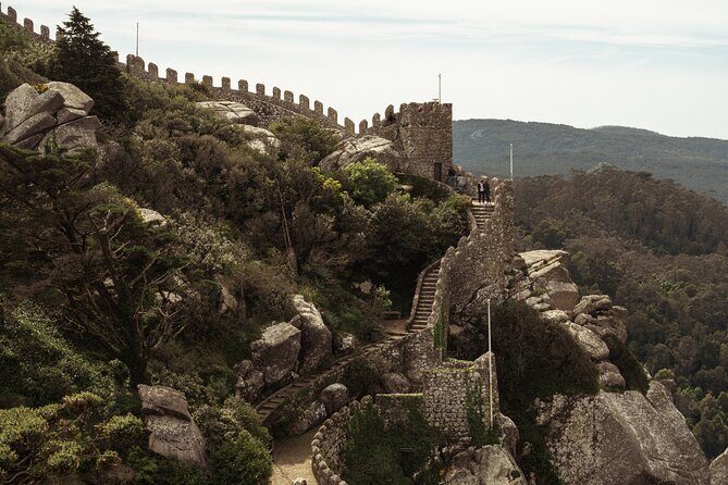 Private Half-Day Tour to Sintra (Pena Palace & Moorish Castle) - How the private half-day plan really works (4–5 hours)