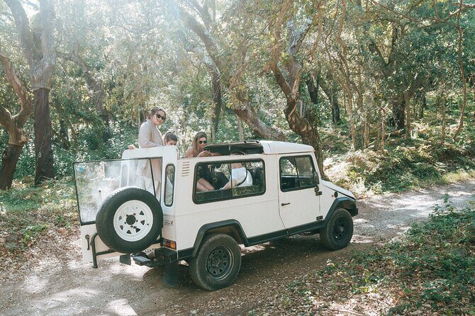 Private Jeep Safari in Sintra - Quinta da Regaleira: the half-guided format that keeps you moving