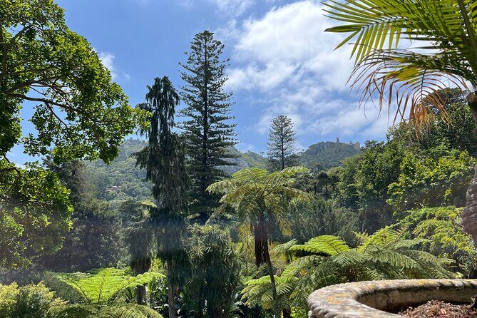 Private: Quinta da Regaleira & Sintra Historic Center Guided Tour - English tour experience: small group, and why that can help