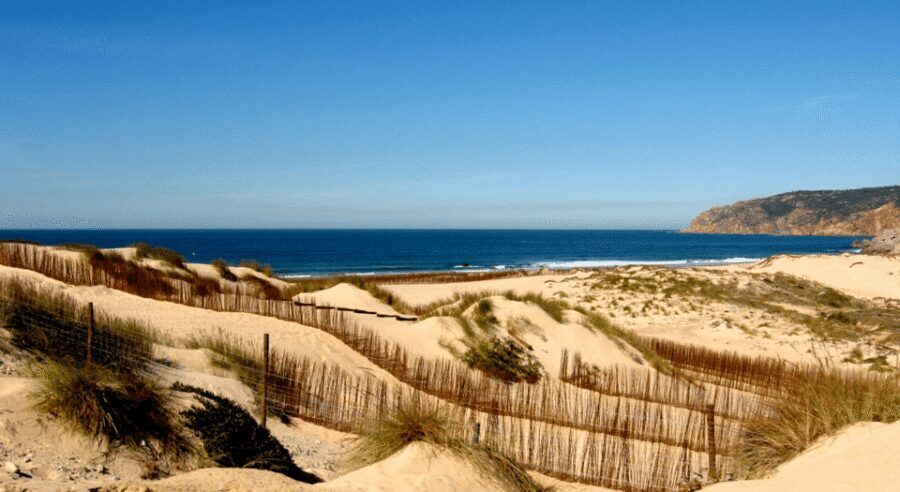 Private Tour : Sintra, Pena palace, Cabo da roca, Cascais - Who This Private Day Tour Fits Best