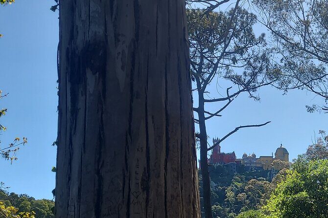 Private Tuk Tuk Tour around Magical Sintra and Coastline - Getting to Volta do Duche at 8:30 and what your day feels like