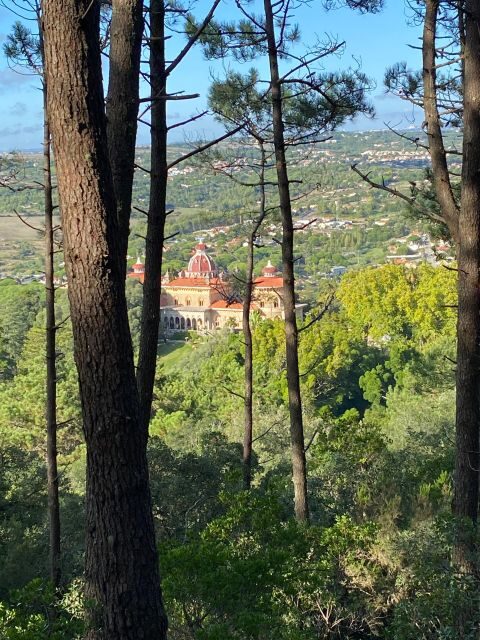 Private Tuk Tuk Tour around Sintra - Monserrate Palace gardens: the romantic garden payoff