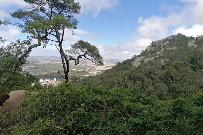 Private Tuk Tuk Tour through Serra de Sintra - Pena Palace and Parque da Pena: romantic 19th-century architecture plus serious garden detail