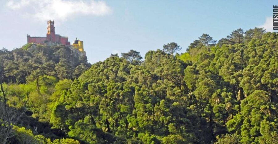 Sintra: 3.5-Hour Rock Climbing Experience - The Climbing Moment: Views of Pena From Right Under the Castle