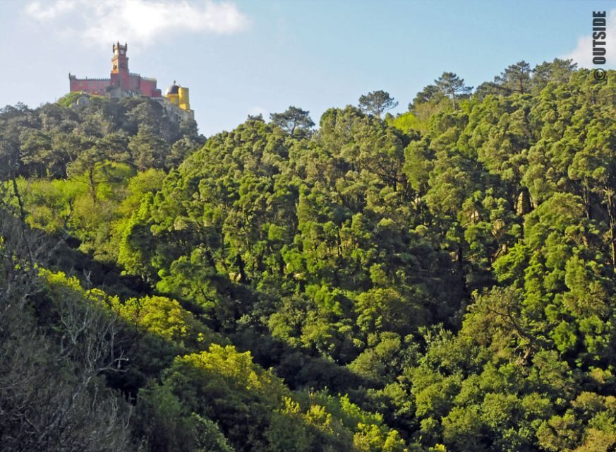 Sintra: 3.5-Hour Rock Climbing Experience - What 3.5 Hours Really Means for Your Day