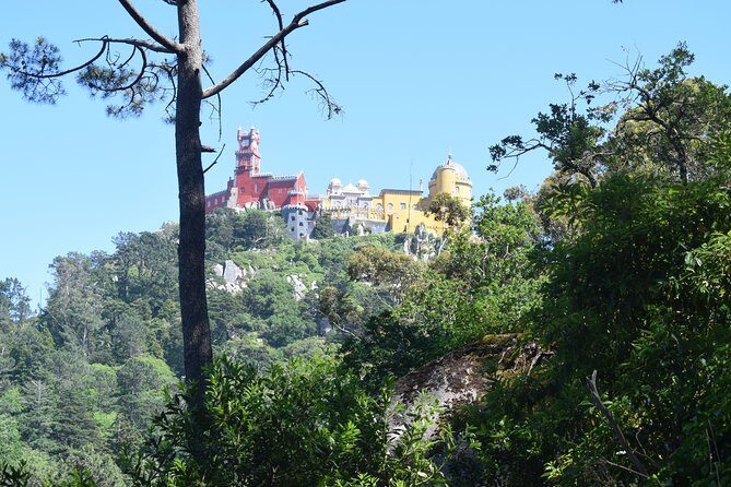 Sintra and Cascais with a Local Guide - Group tour starting from Sintra - Stop 3: Pena Palace and Park (the big-ticket centerpiece)