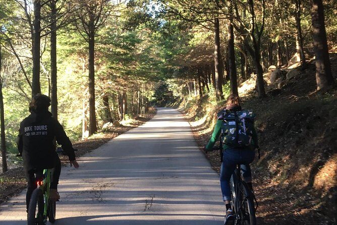Sintra & Cascais e-bike Guided Tour - Colares and Sintra-Cascais Natural Park: riding through the in-between