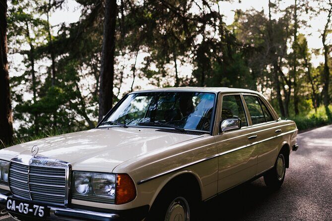 Sintra & Cascais Full Day - Private Tour in Classic Car - Stop 1: Park and National Palace of Pena (3 Hours, Entry Not Included)