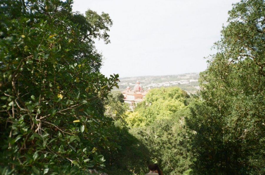 Sintra: Full Day guided tours by Van with Local guide - Your first Sintra move: a quick photo stop and a meaningful palace approach