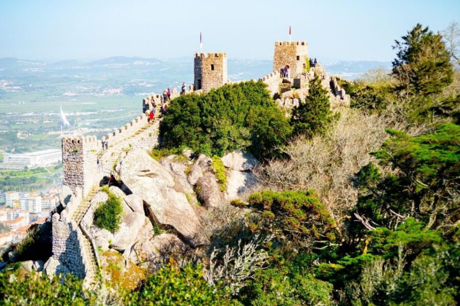 Sintra: Full-Day Private Tour & Pena Palace Entry Option - Price and value: what you’re really paying for at $306 per person