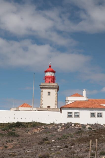 Sintra Highlights: Private Local Tour - Palaces & Views - Picking Your Stops on the Sintra Mountain (Pena, Regaleira, Monserrate)