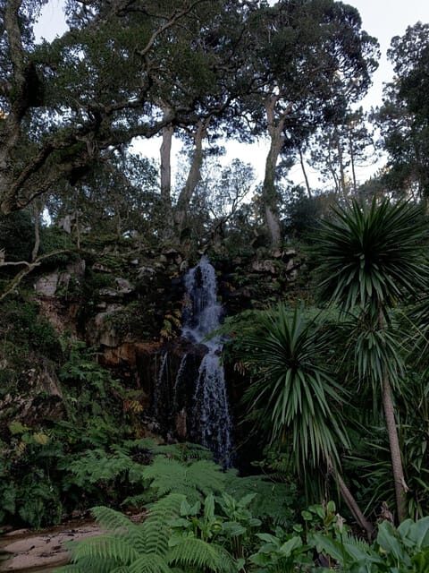 Sintra Highlights: Private Local Tour - Palaces & Views - Who This Tour Fits Best (And Who Might Want Another Option)