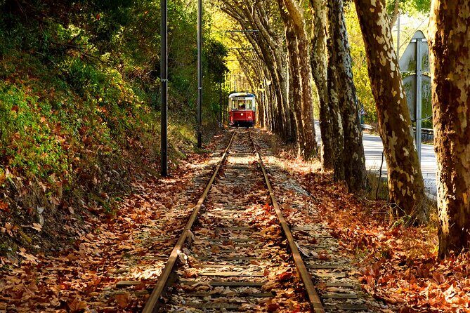 Sintra Jeep Adventure – Wine, Food & Freedom - Peninha Sanctuary: Atlantic views and a 16th-century pause