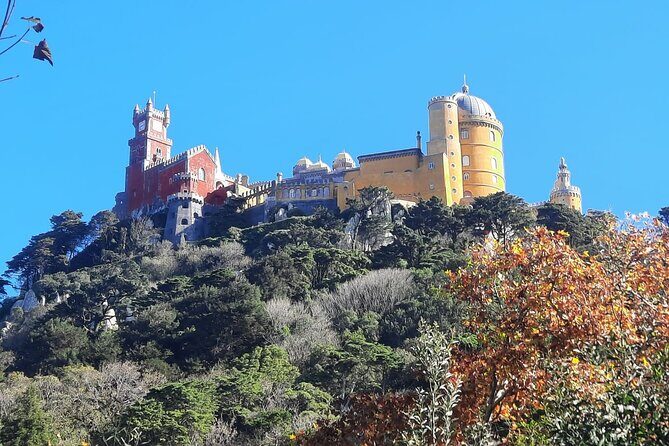 Sintra Palaces and Forest Private Tour - How the 5-hour timing works (and how to choose your ticket plan)