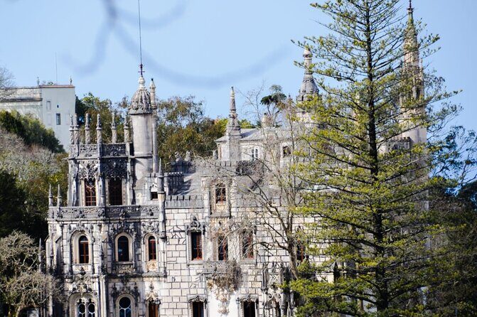 Sintra Palaces and Forest Private Tour - Price and value: what you’re paying for, and what you’ll pay at the gate