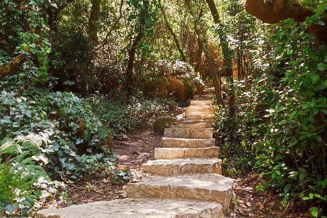 Sintra Private Hiking Adventure Tour - Why This Sintra Hiking Tour Feels More Personal