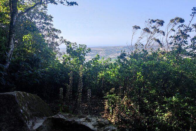 Sintra Private Hiking Adventure Tour - Rampa do Castelo to the Moorish Castle: The Real Sintra Work (and the View Payoff)