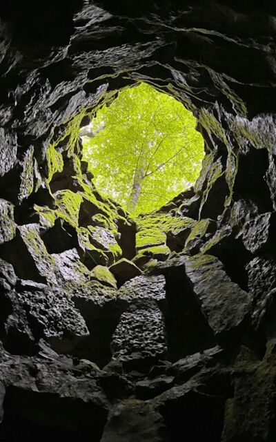 Sintra: Quinta da Regaleira Entry Tickets with Host - Tips That Make Your Visit Easier
