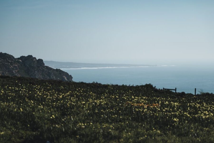 Sintra: Regaleira, Cabo da Roca and Cascais Jeep Safari Tour - Cascais finish around 4:30 PM: what to do next