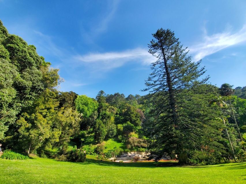 Sintra: Self-Driven Trip with Route-Planning Support - Castle of the Moors: Timing and Tight Turns