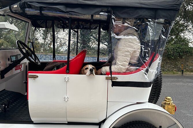 Sintra Tour by Electric Tuk Tuk - Guide Impact: Explanations, Photo Help, and Real-Life Energy