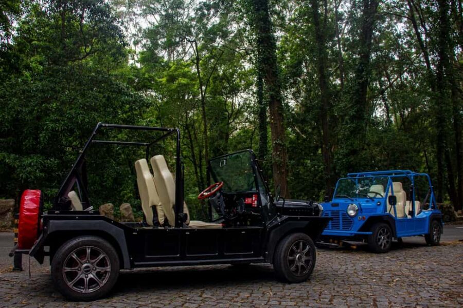 Sintra: Vintage electric Tuk Tuk tour, Pena Palace 4/5 hours - Key highlights to know before you go